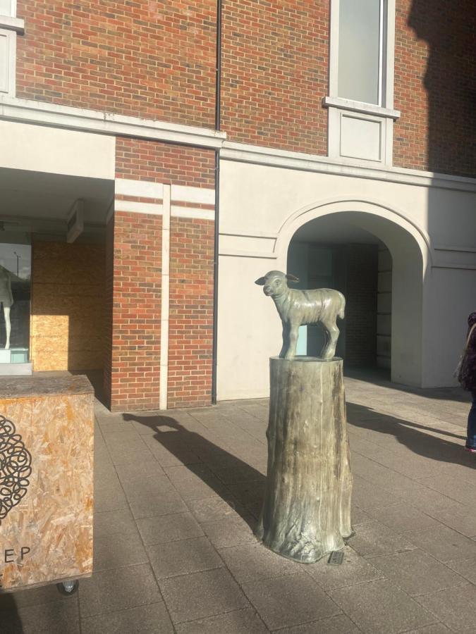 The Most Central Apartment In Canterbury Stunning Interiors, Fully Equipped, City Views And Free Wifi! Exteriör bild